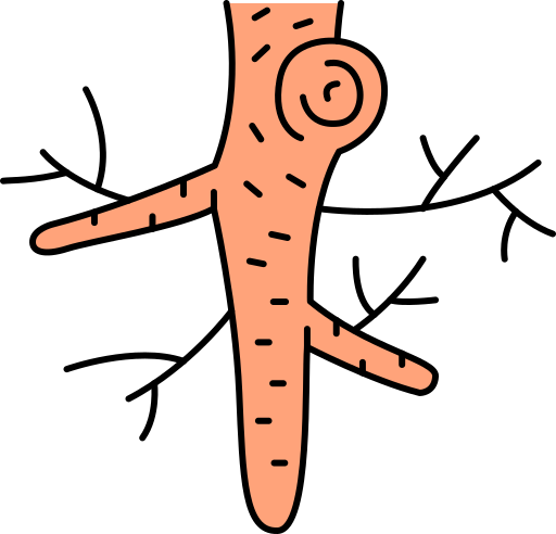 wortel Generic Others icoon