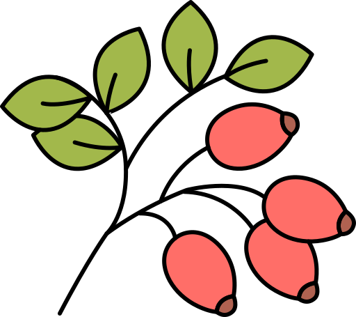 Berries Generic Others icon