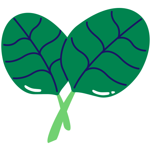 Fresh spinach Generic Others icon