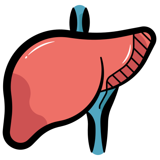 wątroba Generic Others ikona