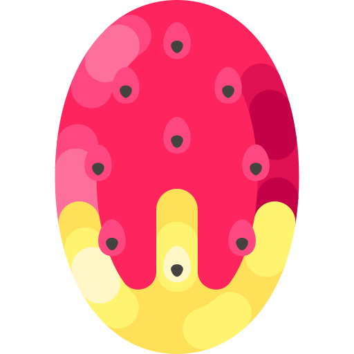 Prickly pear Special Shine Flat icon