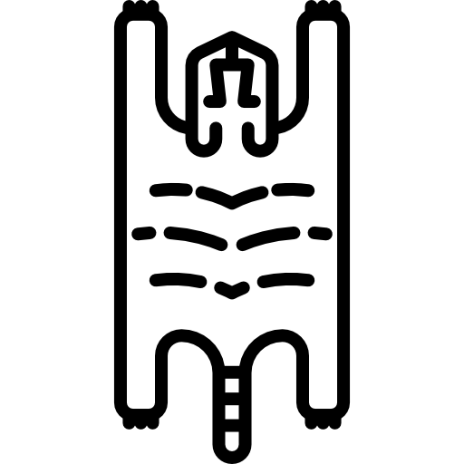 肌 Special Lineal icon