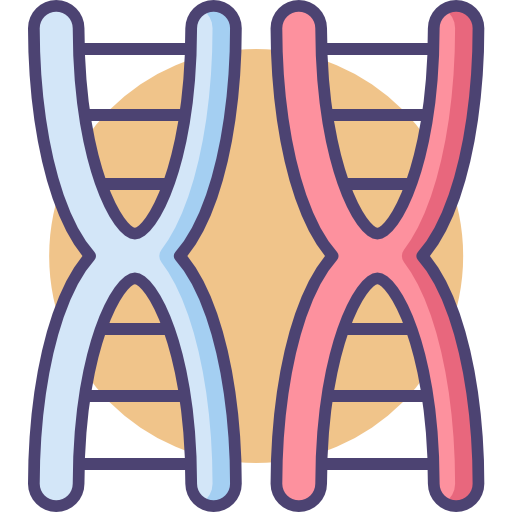 chromosoom Flaticons.com Flat icoon