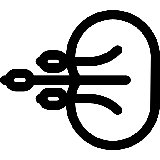 bionico Basic Rounded Lineal icona