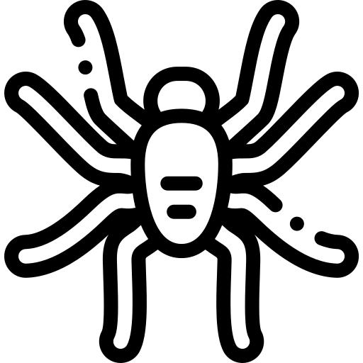 tarentule Detailed Rounded Lineal Icône