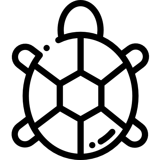 Черепаха Detailed Rounded Lineal иконка
