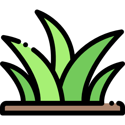 Grass Detailed Rounded Lineal color icon