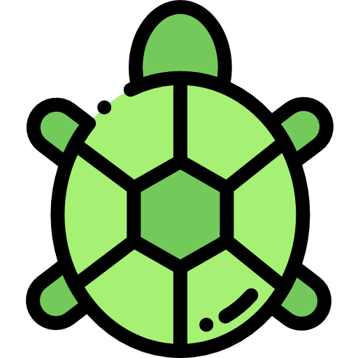 tortuga Detailed Rounded Lineal color icono