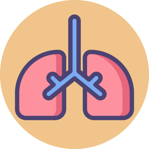Lungs Flaticons.com Flat icon