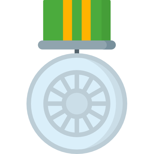 medalha Special Flat Ícone