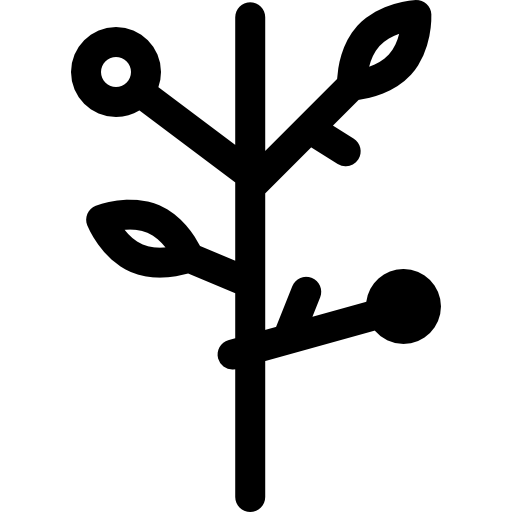 ブランチ Basic Rounded Lineal icon