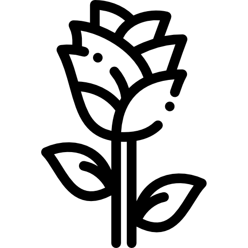 장미 Detailed Rounded Lineal icon