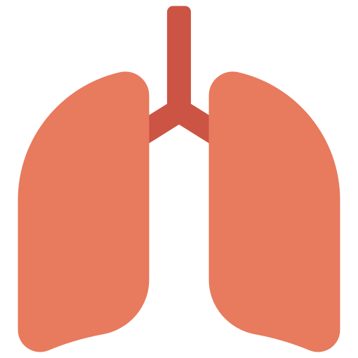 Lungs Juicy Fish Flat icon
