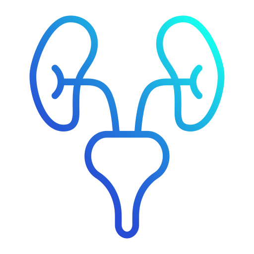 urologia Generic gradient outline Ícone