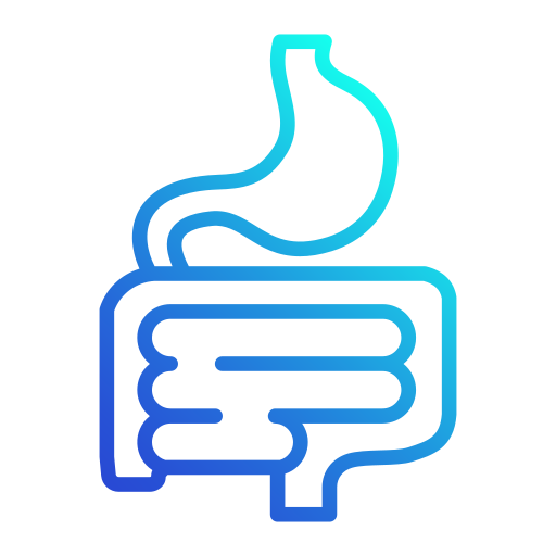 Digestive system Generic gradient outline icon