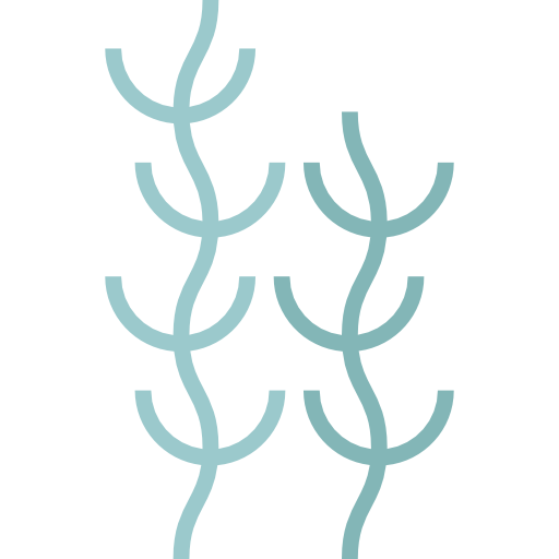 Морские водоросли  иконка