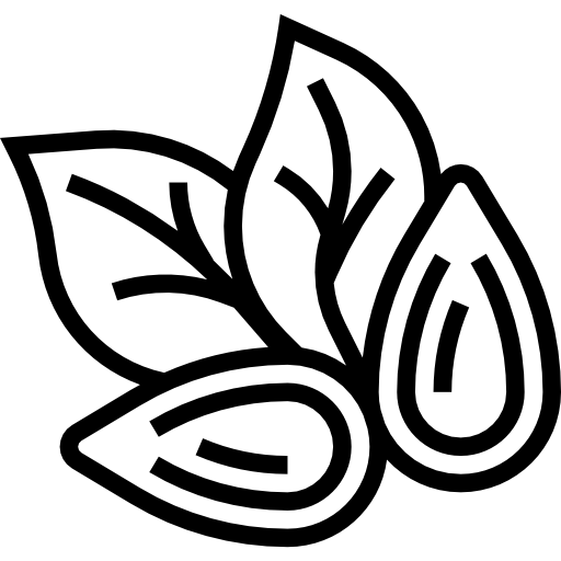 mandel Meticulous Line icon