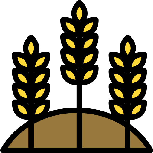 Wheat Darius Dan Lineal Color icon