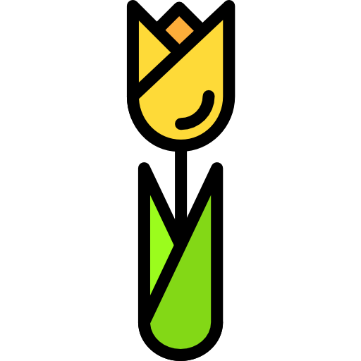 Tulip Darius Dan Lineal Color icon