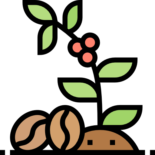 roślina kawy Meticulous Lineal Color ikona