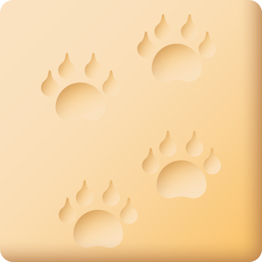 動物の足跡 3D Color icon