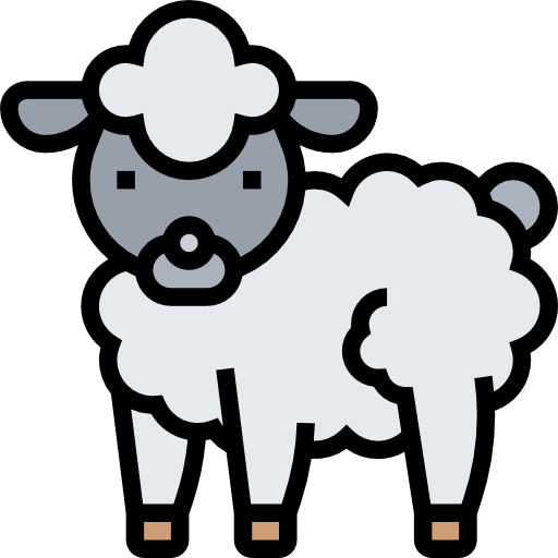 Sheep Meticulous Lineal Color icon