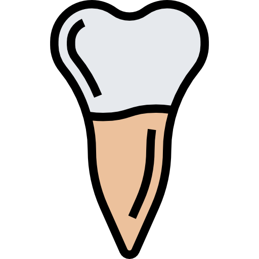 premolaar Meticulous Lineal Color icoon