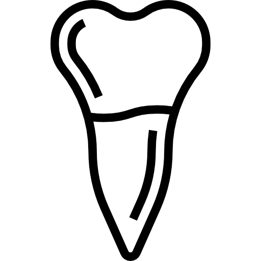 小臼歯 Meticulous Line icon