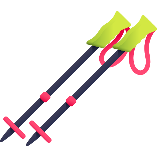 Лыжные палки 3D Color иконка