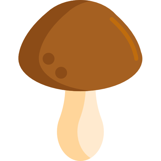 pilz Flaticons Flat icon