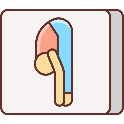 pozycja jogi Flaticons Lineal Color ikona