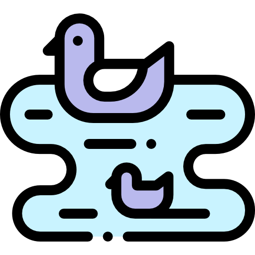Ducks Detailed Rounded Lineal color icon