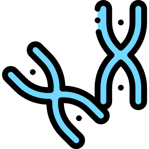 Chromosome Detailed Rounded Lineal color icon