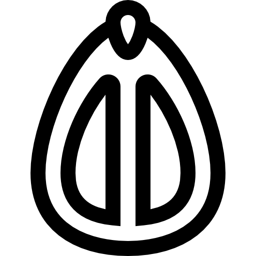 semilla Basic Straight Lineal icono