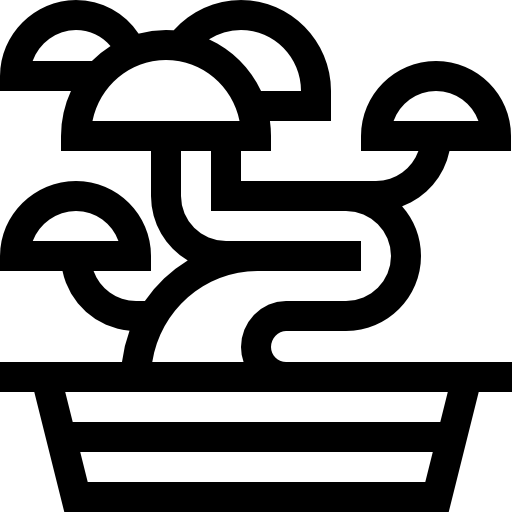 bonsai Basic Straight Lineal icono