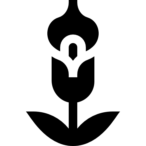 calla Basic Straight Filled icono