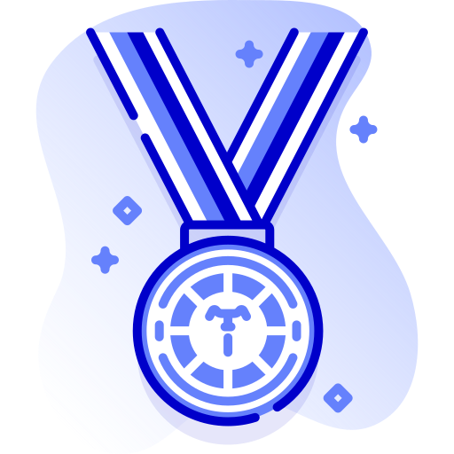 Medal Special Ungravity Lineal icon