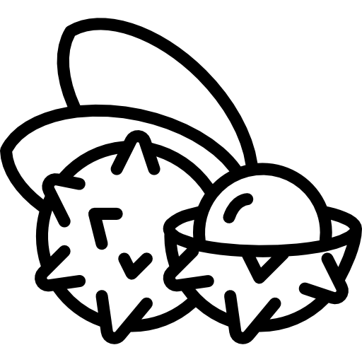 lychee Basic Miscellany Lineal icono