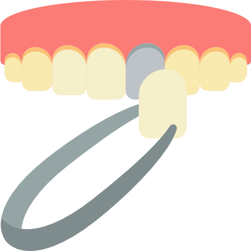 faccetta dentale Basic Miscellany Flat icona