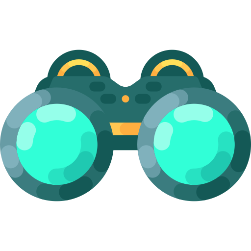 vision Special Shine Flat icon