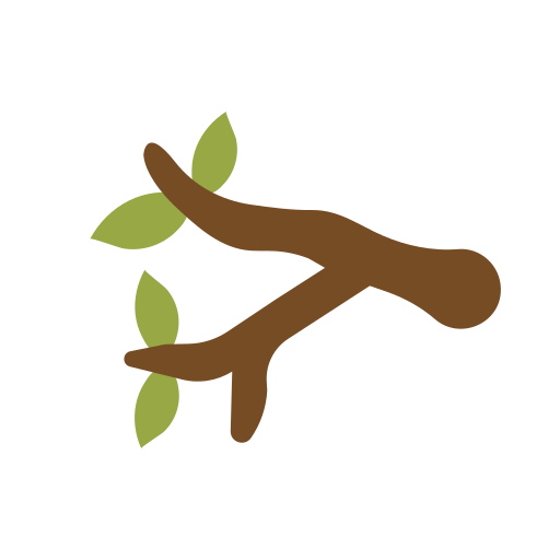 Branch Generic color fill icon