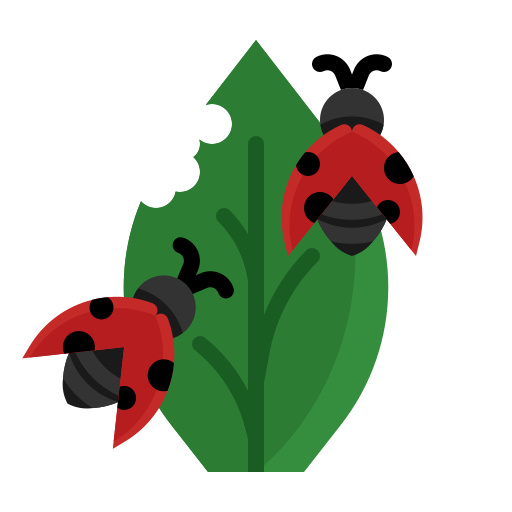 coccinella Generic color fill icona