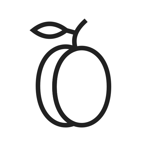 fruta Generic outline Ícone