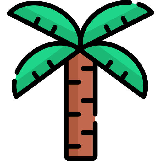 Palm tree Special Lineal color icon