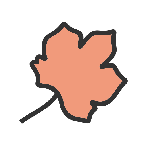 Orange Generic color lineal-color icon