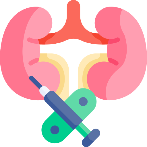 Kidney biopsy Kawaii Flat icon