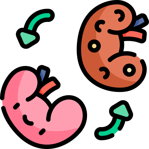 Kidney surgery Kawaii Lineal color icon