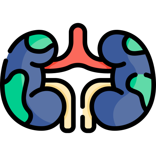 World kidney day Kawaii Lineal color icon