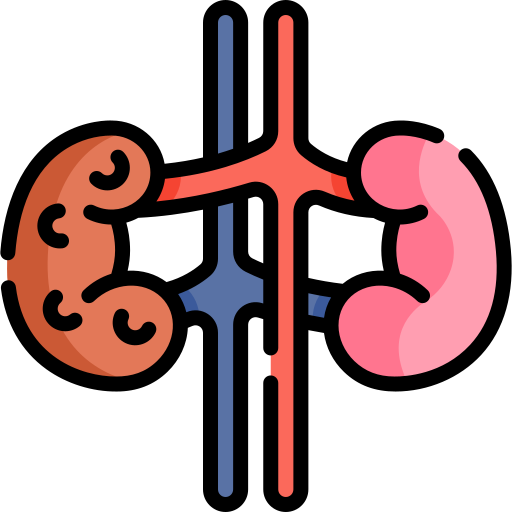 Kidney failure Kawaii Lineal color icon