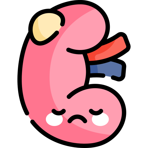 Kidney cyst Kawaii Lineal color icon